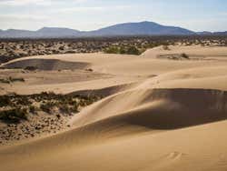 Dunas Corralejo