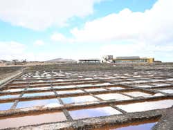 Zona de las salinas