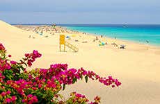 Guía de Fuerteventura