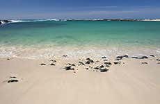 Guía de Fuerteventura