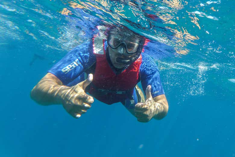Snorkel en Fuerteventura