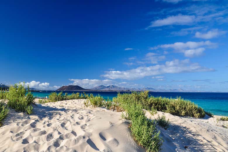 Parque Natural de las Dunas de Corralejo
